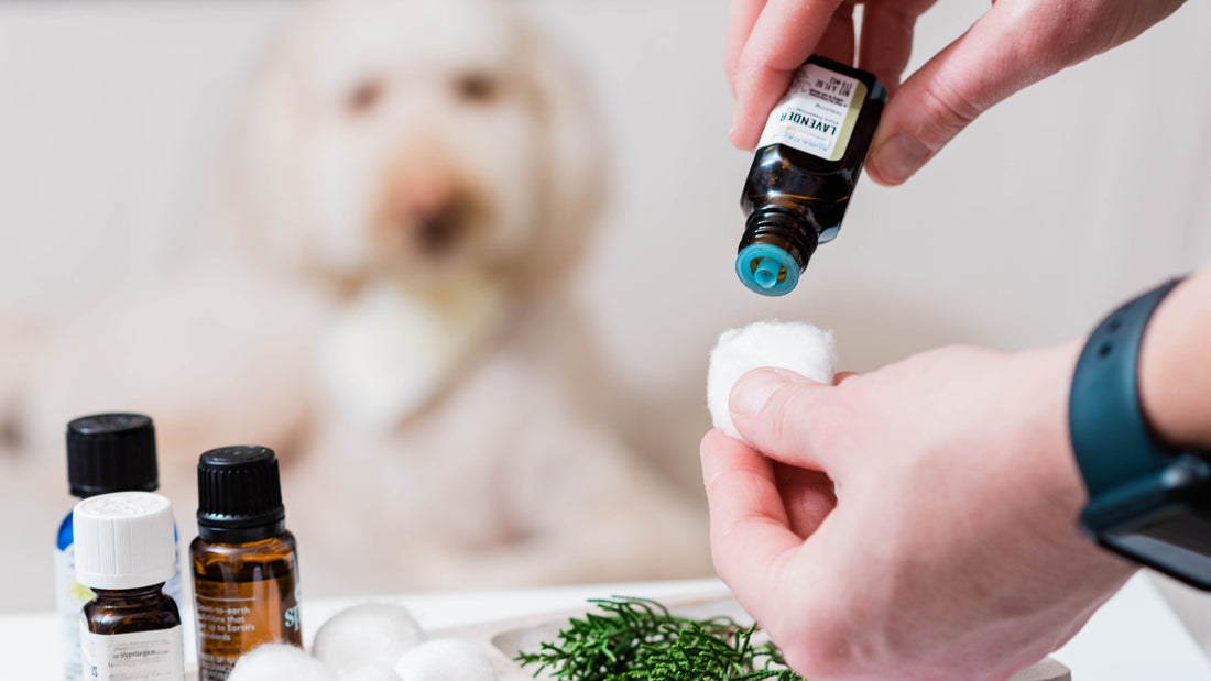 The Truth about Food Grade vs Therapeutic Grade Essential Oil - It's Essential  Oil & More