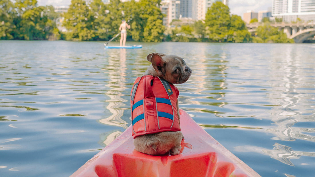 A bulldog wearing a red life jacket rides at the front of a kayak on a lake with a paddleboarder in the background