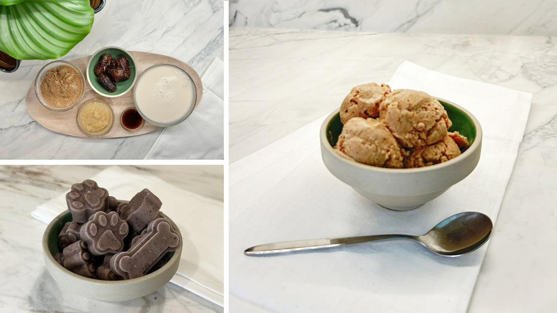 A collage of ice cream ingredients and finished ice cream for humans and pets in two bowls