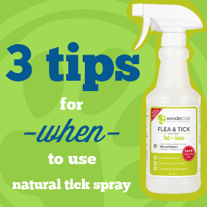 Homemade tick best sale spray for dogs