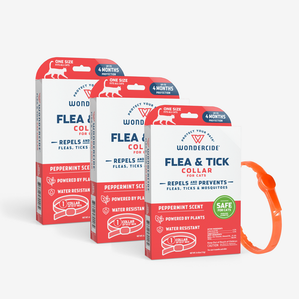 Preventic flea collar for cats best sale