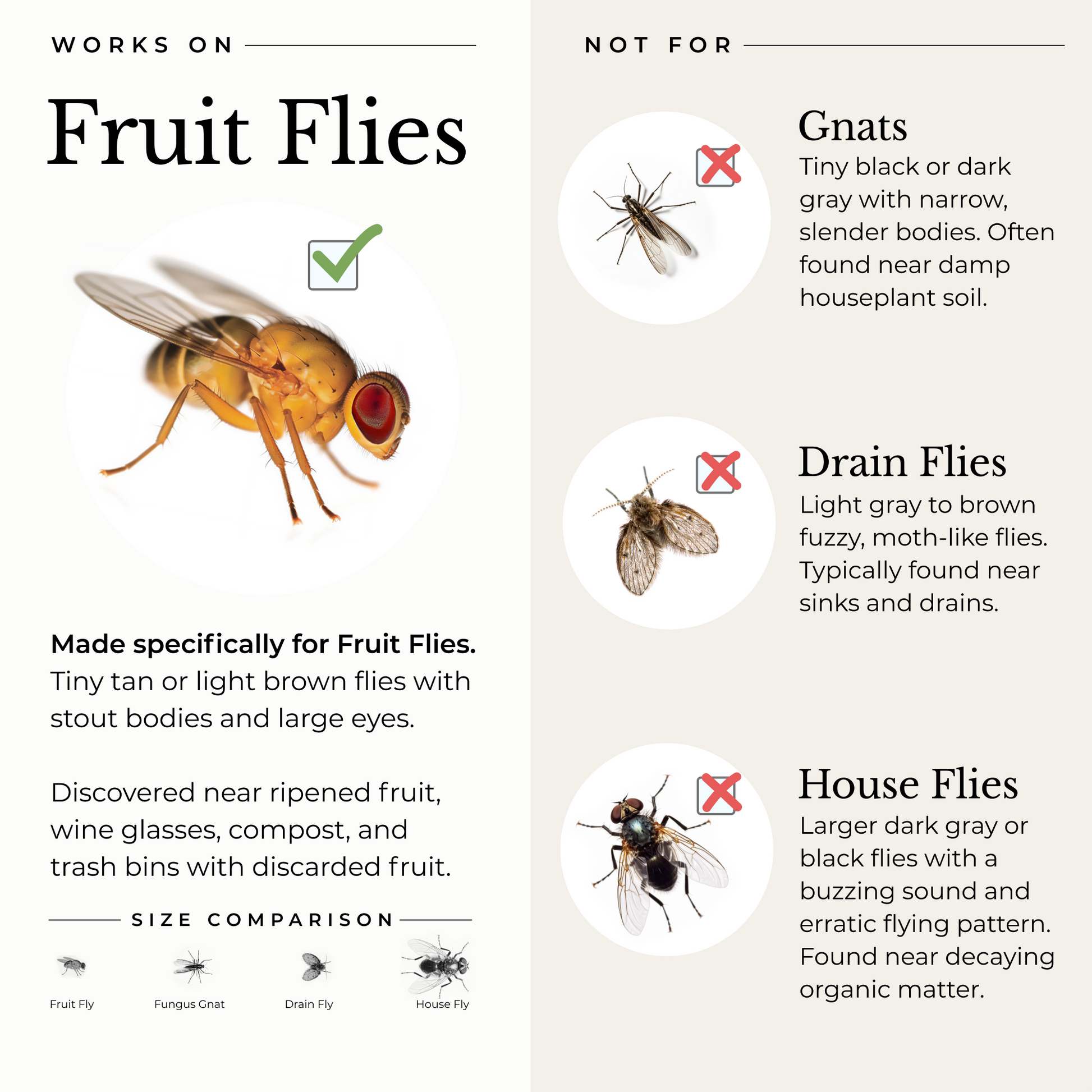 2023 Upgraded Fruit Fly Traps for Indoors, 2 in 1 Fly Traps Indoor