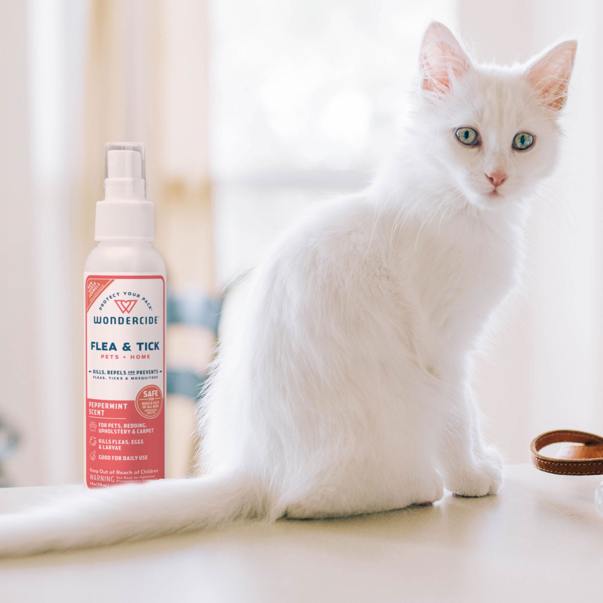 Peppermint spray for clearance dogs