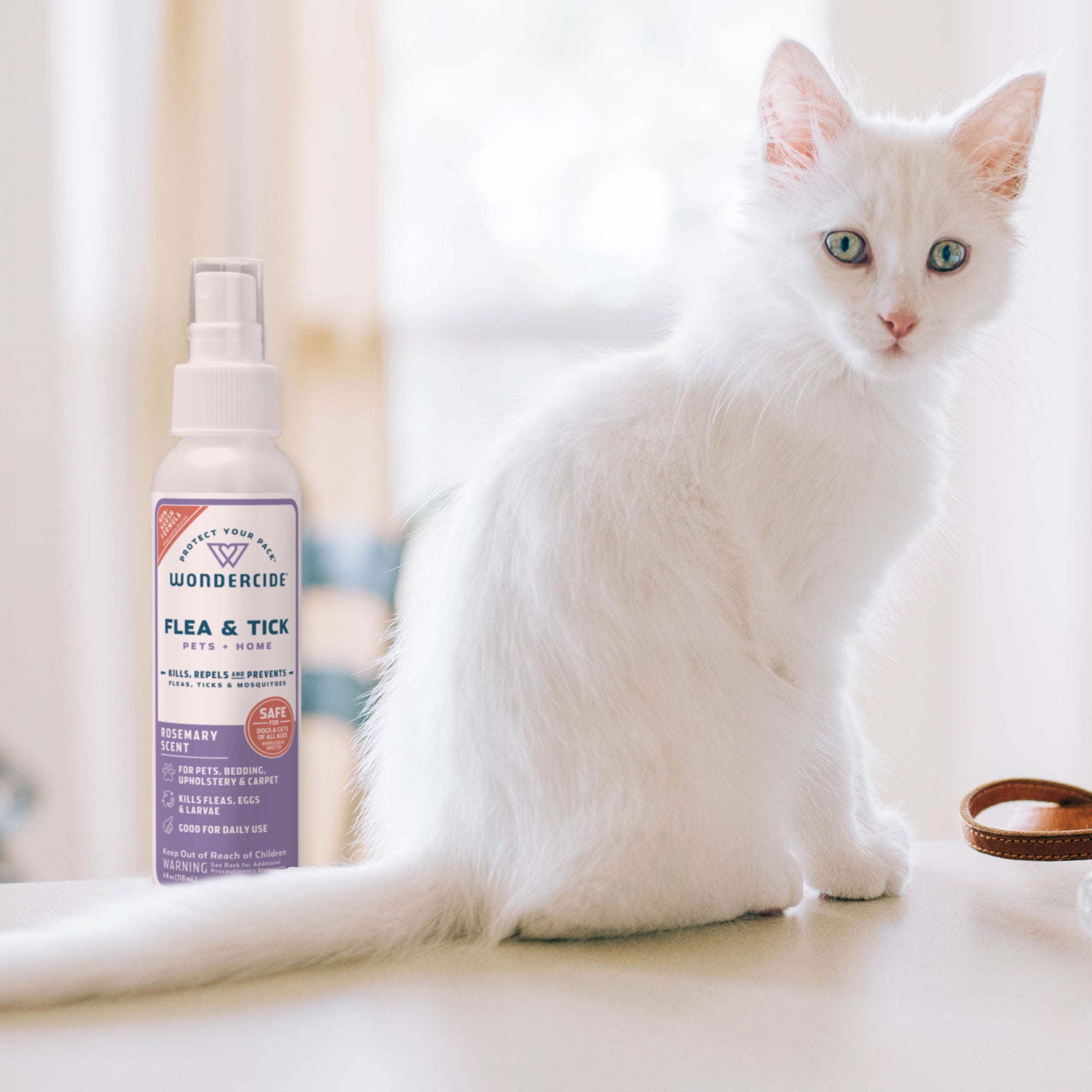 Safe flea treatment for pregnant clearance cats