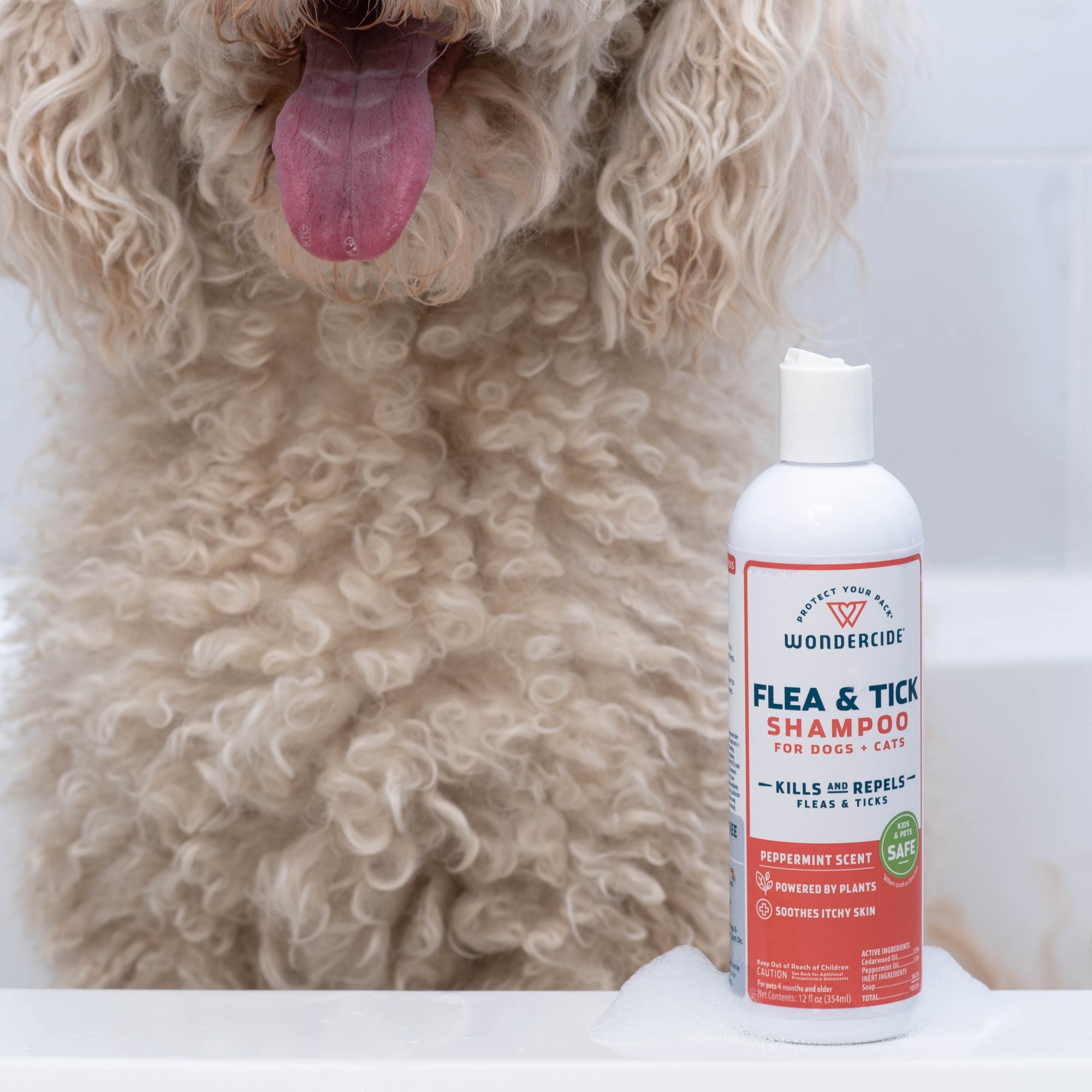 Dog lice outlet shampoo