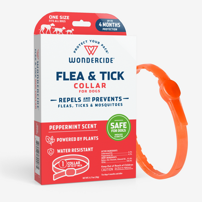 The Wondercide Flea & Tick Collar for dogs and cats, featuring natural essential oils, sits next to an orange collar. It promises up to 4 months of flea, tick, and mosquito protection while emitting a refreshing peppermint scent with its plant-based formula.