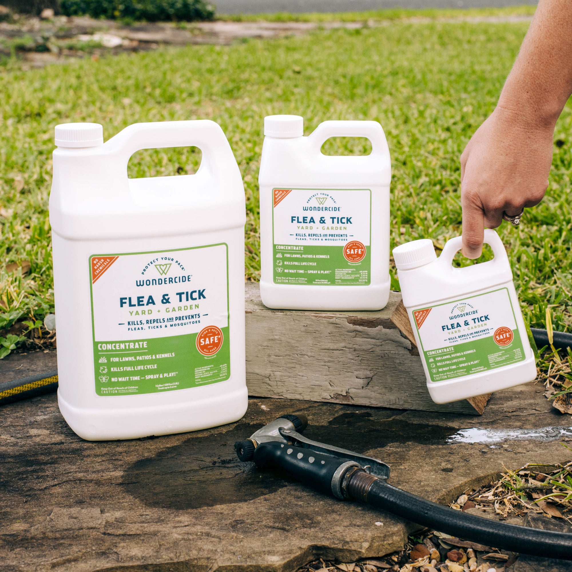 Best flea killer for yard and home best sale