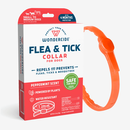 The Wondercide Flea & Tick Collar for Dogs + Cats with Natural Essential Oils, repelling fleas, ticks, and mosquitoes with a peppermint scent, is showcased alongside its packaging. This water-resistant collar offers up to four months of protection for small to medium dogs.