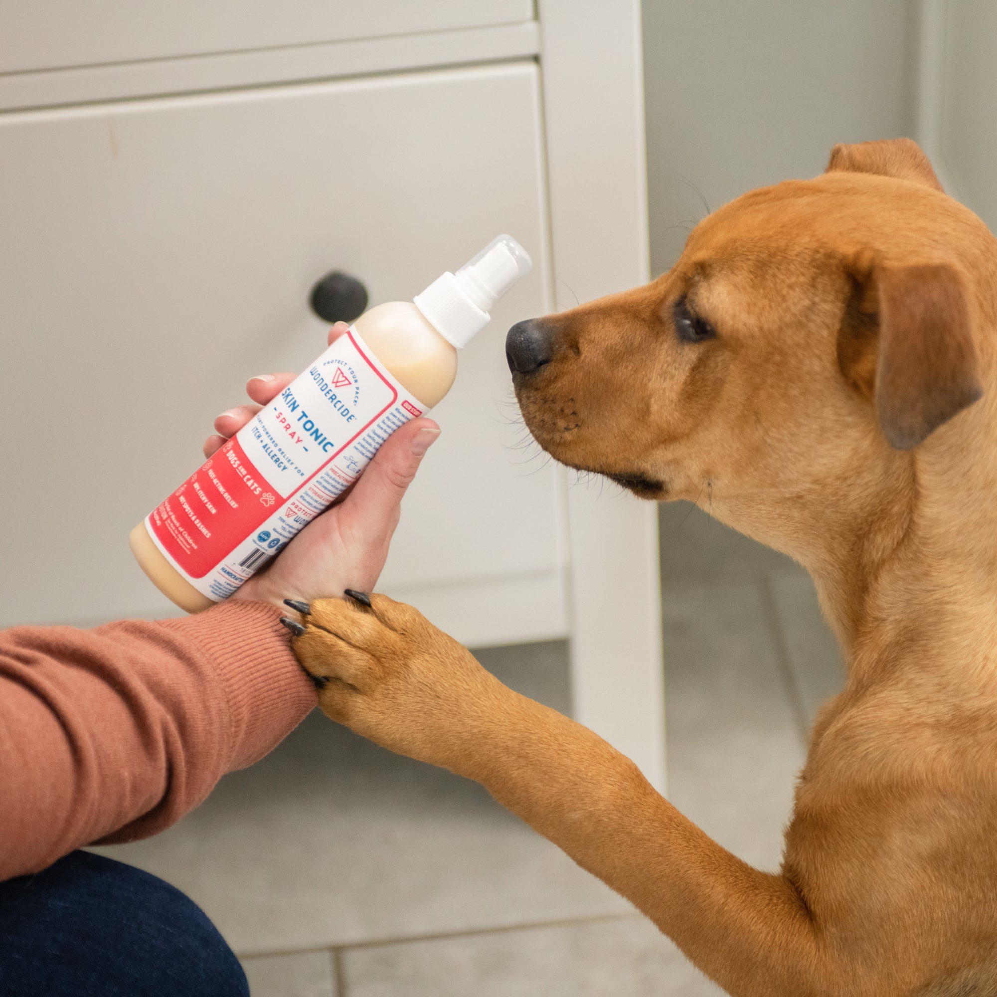 The stuff dog clearance spray