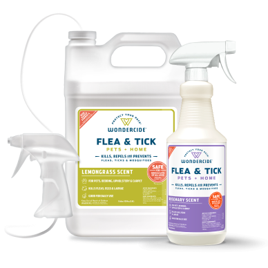 Flea and Tick Spray