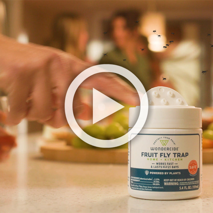 Wondercide Fruit Fly Trap for Home + Kitchen – Pet Food Center